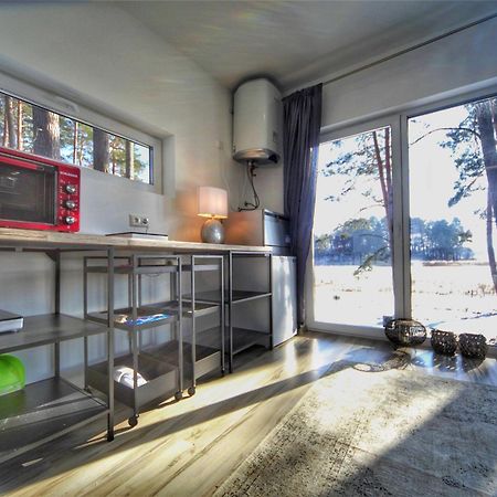 Gaujaclub - Our Bose And Bang&Olufsen Lofts On A Lake Gauja  Buitenkant foto