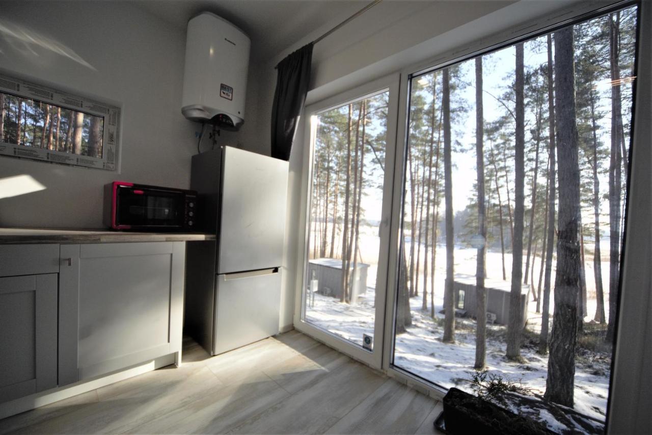Gaujaclub - Our Bose And Bang&Olufsen Lofts On A Lake Gauja  Buitenkant foto