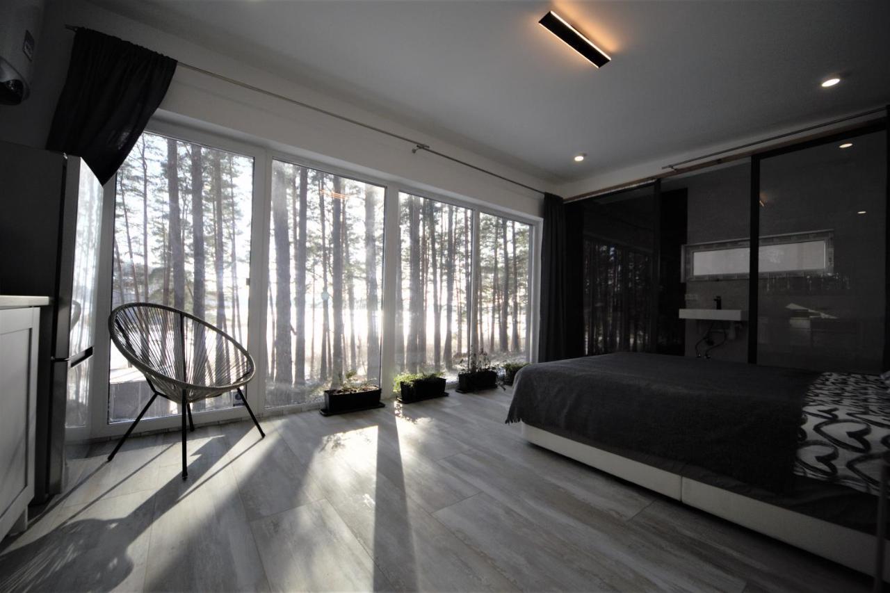 Gaujaclub - Our Bose And Bang&Olufsen Lofts On A Lake Gauja  Buitenkant foto