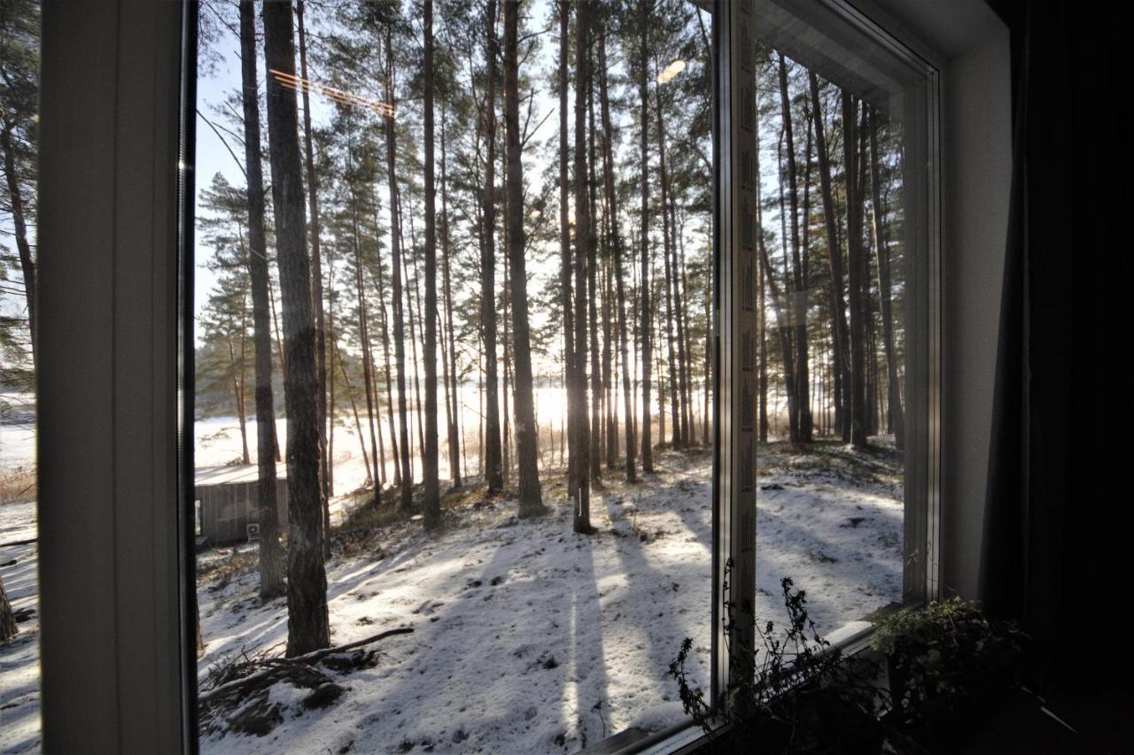 Gaujaclub - Our Bose And Bang&Olufsen Lofts On A Lake Gauja  Buitenkant foto