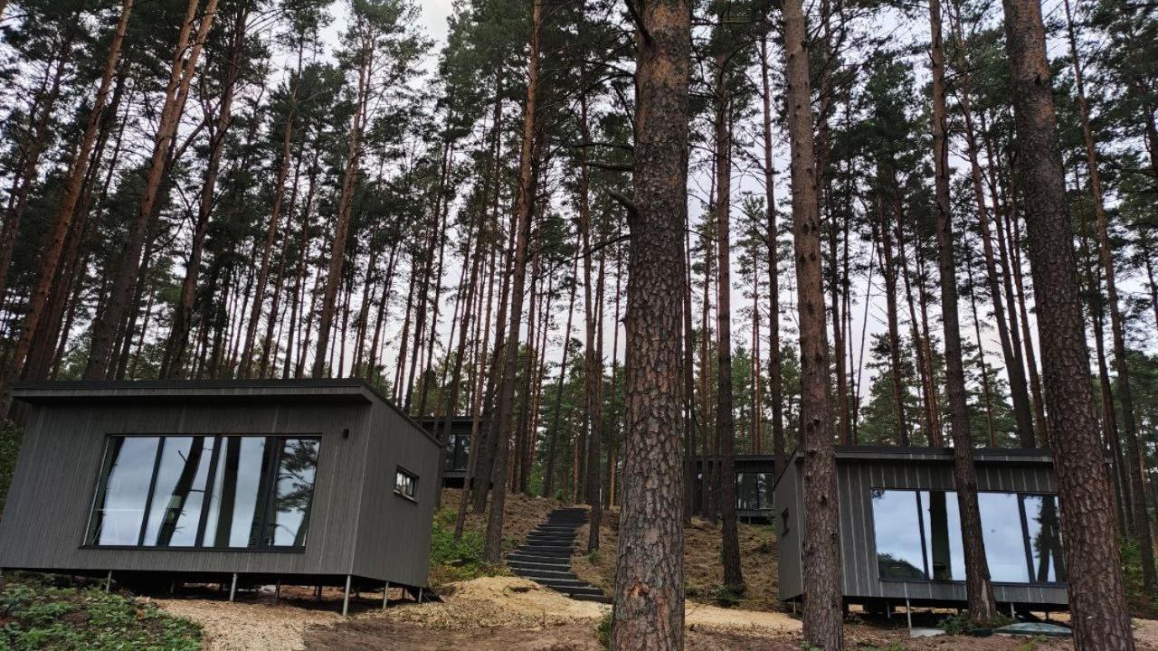 Gaujaclub - Our Bose And Bang&Olufsen Lofts On A Lake Gauja  Buitenkant foto