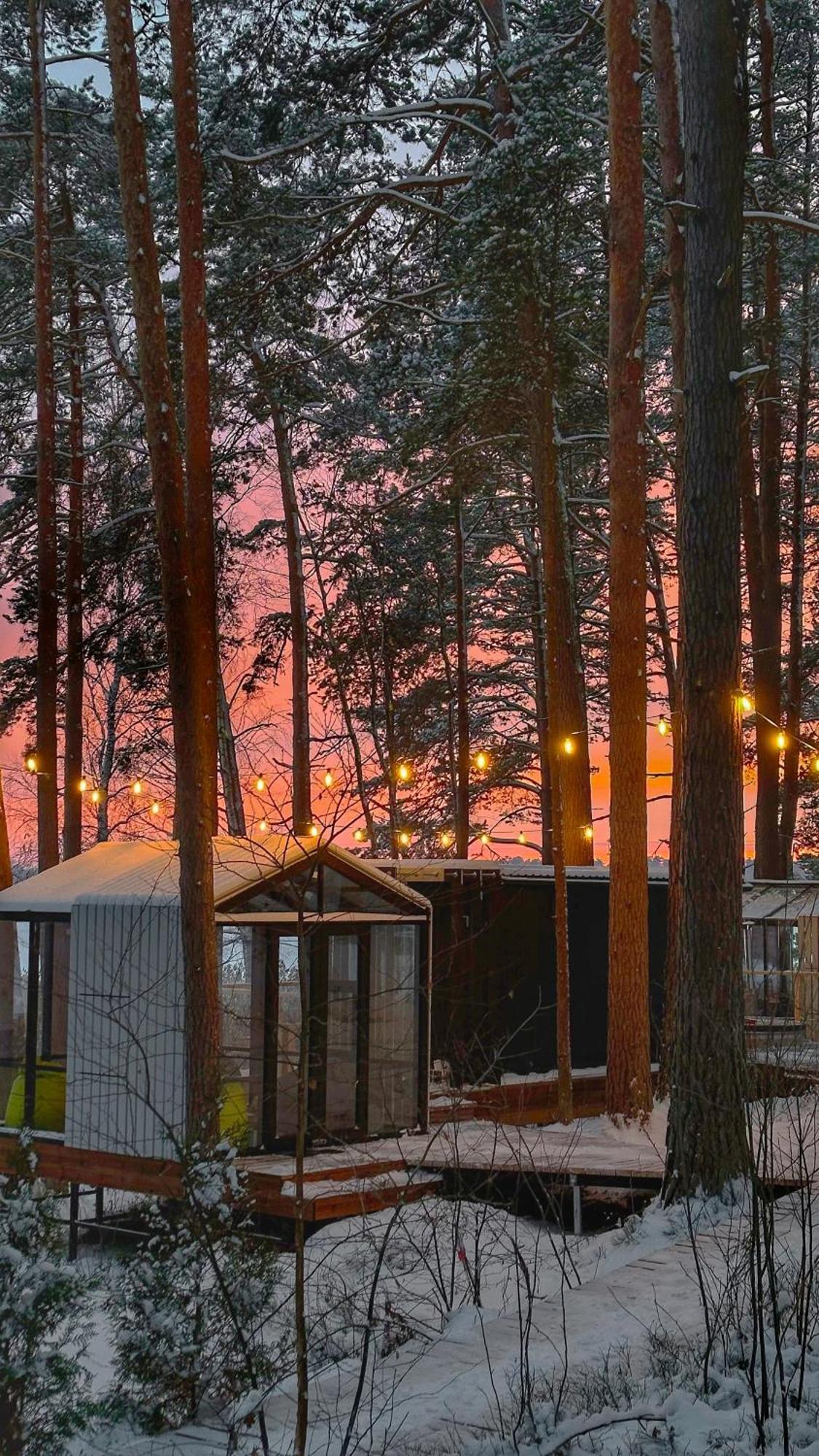 Gaujaclub - Our Bose And Bang&Olufsen Lofts On A Lake Gauja  Buitenkant foto