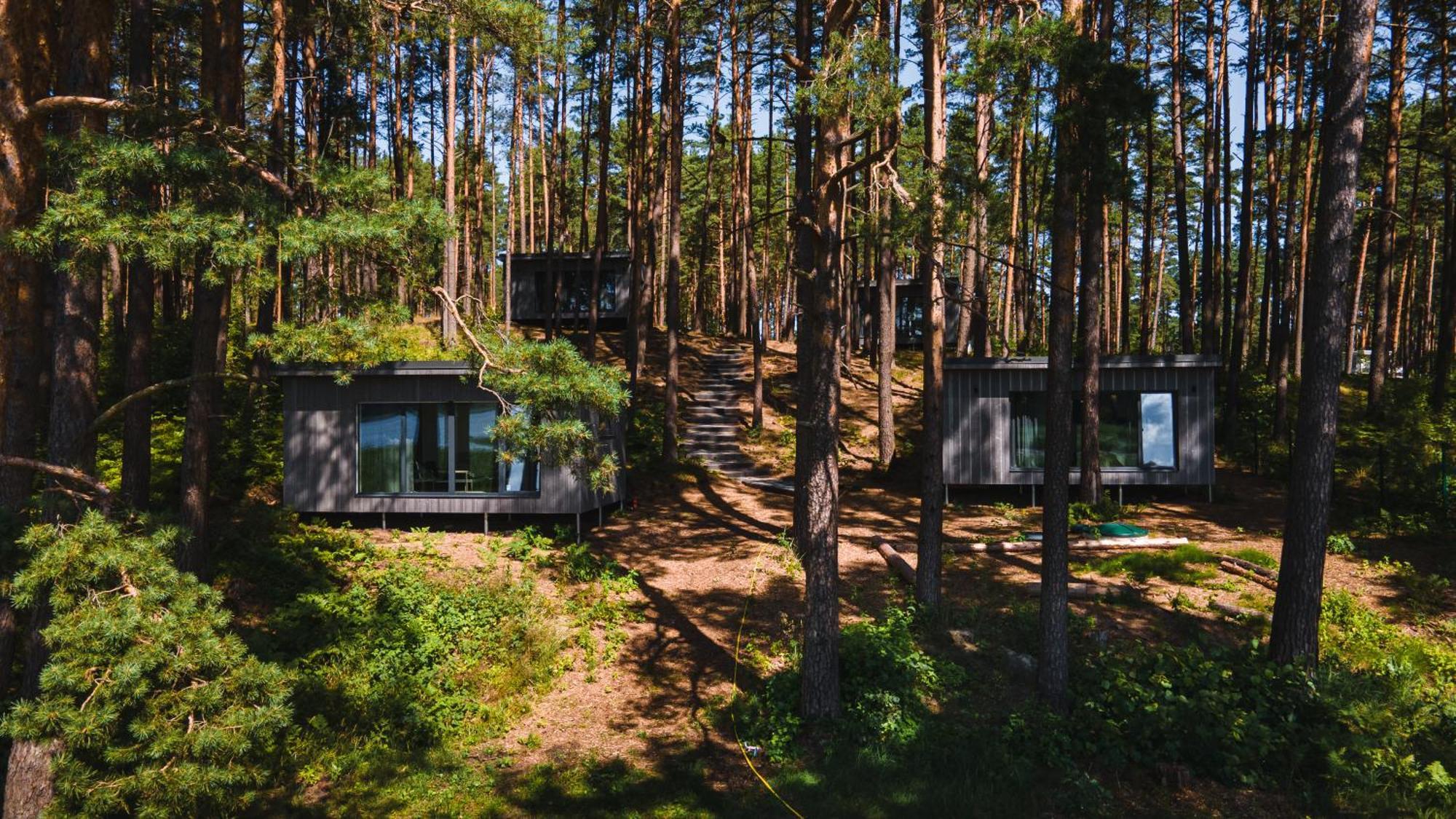 Gaujaclub - Our Bose And Bang&Olufsen Lofts On A Lake Gauja  Buitenkant foto
