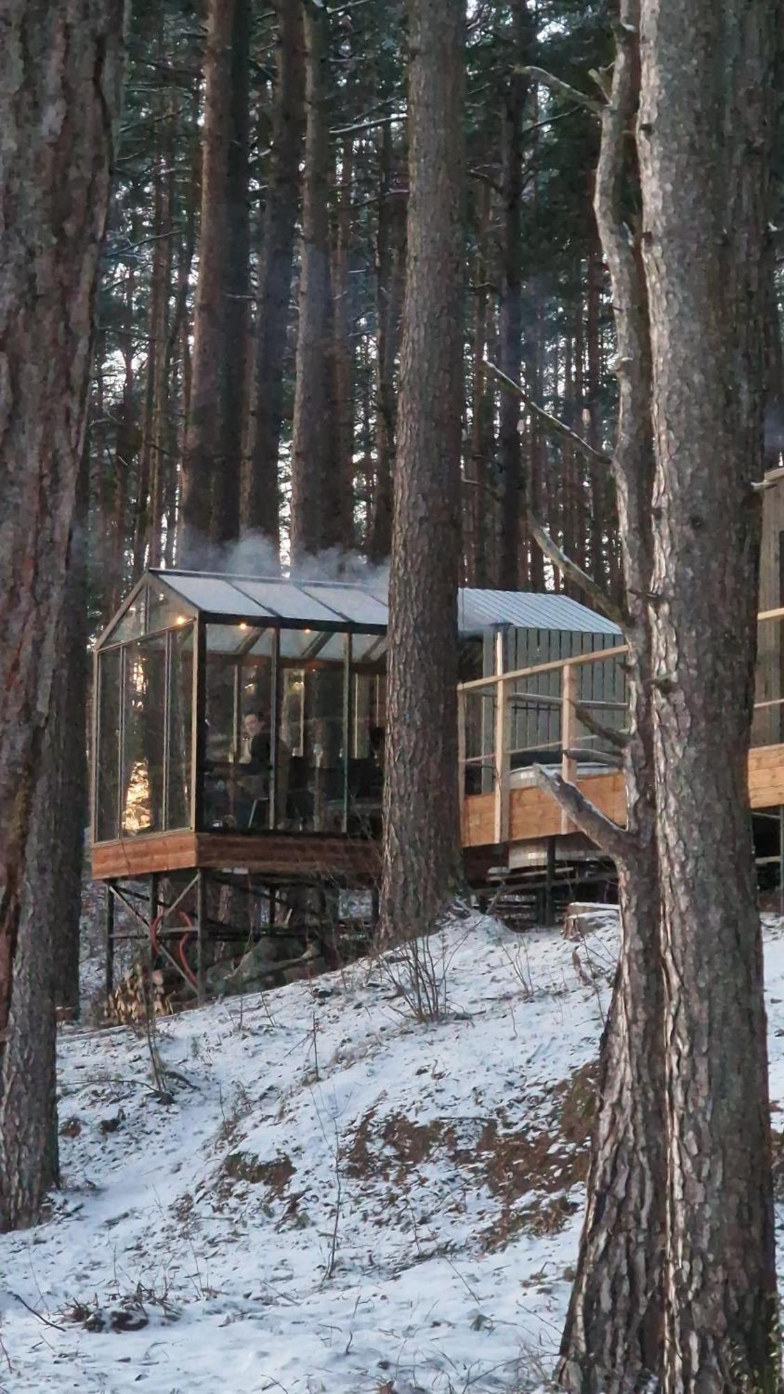 Gaujaclub - Our Bose And Bang&Olufsen Lofts On A Lake Gauja  Buitenkant foto
