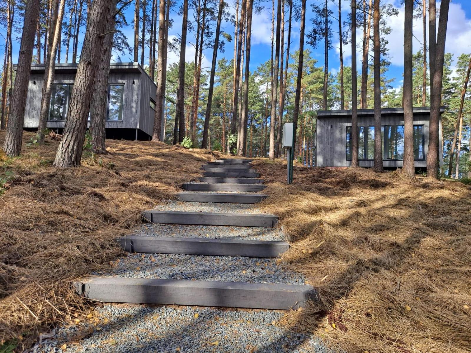 Gaujaclub - Our Bose And Bang&Olufsen Lofts On A Lake Gauja  Kamer foto